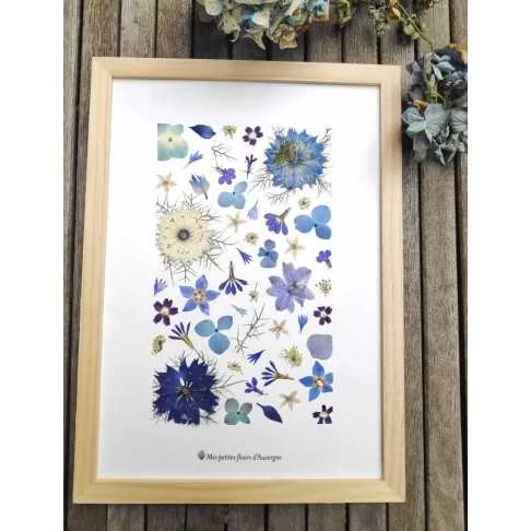 Tableau herbier fête des mères personnalisable motif rectangle en fleurs séchées d'Auvergne bleu violet et blanc