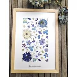 Tableau herbier fête des mères personnalisable motif rectangle en fleurs séchées d'Auvergne bleu violet et blanc