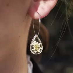 Créoles en acier inoxydable argenté avec inclusion de fleur de carotte sauvage dans de la résine transparente - bijou fleur