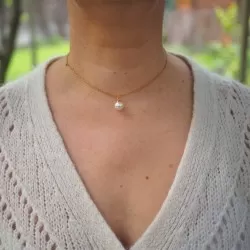 Collier de dos en acier inoxydable doré en fleur de carotte sauvage et perle synthétique - collier vraie fleur