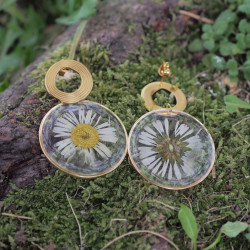 Arrière des boucles d'oreille dorées rondes avec des pâquerettes - Bijou vraies fleurs Clermont