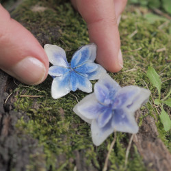 Boucles d’oreille fleur 3D de fleurs d'hortensias bleues - Bijoux vraies fleurs Clermont