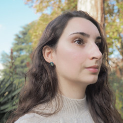 Boucles d’oreille 2 en 1 fleur de carotte argenté, fond émeraude