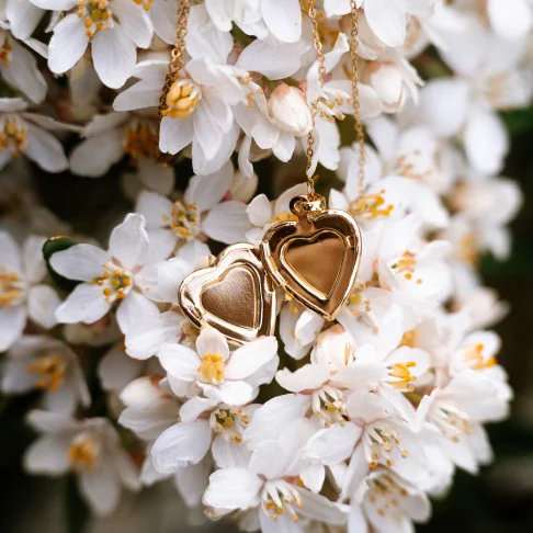 Collier vraies fleurs Clermont - Médaillon doré en forme de coeur, en fleurs de carotte sauvage sur un fond pêche.