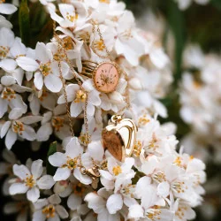 Bijoux en fleurs séchées clermont - Médaillon doré en forme de coeur, en fleurs de carotte sauvage sur un fond pêche.