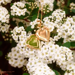 Bijou en fleurs séchées - Collier médaillon en forme de coeur en fleurs de carotte sauvage sur fond vert pale 3