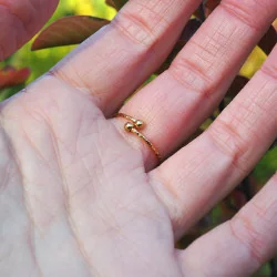 Bague ajustable en acier inoxydable doré en fleurs de carotte sauvage sur un fond émeraude - bijou fleur