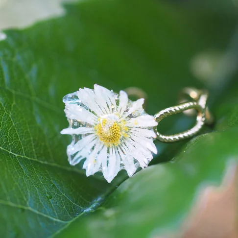 Bijou fleuri clermont - Bague dorée ajustable avec une véritable pâquerette