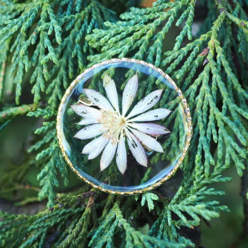 Bijou fleur - broche à vêtement dorée en fleur d'astrance