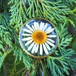 Bijou fleur - broche à vêtement dorée en fleur de marguerite