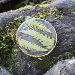 Bijoux vraies fleurs - broche à vêtement dorée en feuilles de fougères