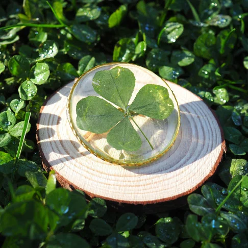 Bijoux vraies fleurs clermont - broche à vêtement dorée en trèfle à 4 feuilles
