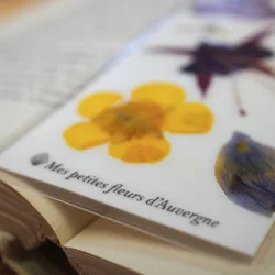 Papeterie fleurs - Marque-pages avec de vraies fleurs d'Auvergne - Merci maitresse