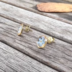Puces d'oreille dorées avec inclusion de fleur de myosotis bleu sur fond de résine transparente - bijou fleur