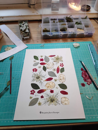 Comment faire un herbier ?