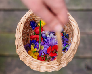 Comment faire sécher ses fleurs pour faire un herbier ?