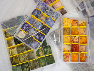 Faire un herbier fleuri avec les bonnes fleurs et couleurs