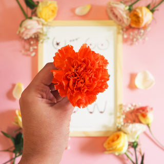 Octobre Rose : un tableau herbier unique mis en vente aux enchères