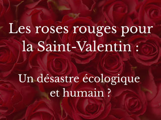 Des alternatives éco-reponsables à la classique rose rouge pour la Saint valentin