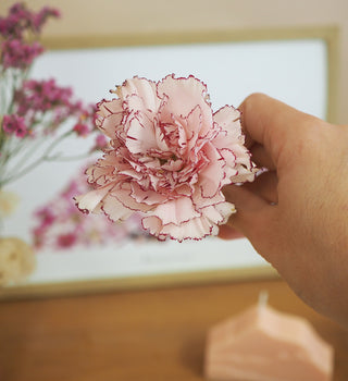 Octobre Rose : un tableau herbier unique mis en vente aux enchères