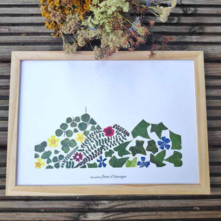 Tirage d'art / affiche / poster de l'herbier Puy-de-Dôme A4 en fleurs séchées jaune, rouge et bleu, et végétaux d'Auvergne  - 3
