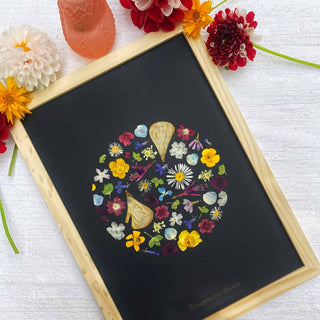 Tableau herbier bulle de fleurs multicolores en fleurs d'Auvergne - cadre fleurs