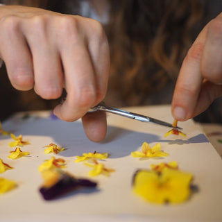 Atelier création d'herbier à Clermont-Ferrand
