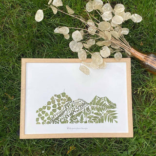 Tableau Herbier végétal A4 du Puy-de-Dôme avec feuilles vertes, représentant la flore locale du massif central.