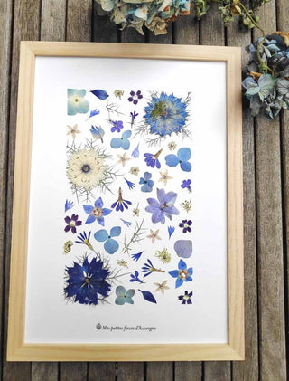 Tableau herbier forme personnalisable motif coeur en fleurs séchées d'Auvergne bleu blanc et violet - cadre fleurs