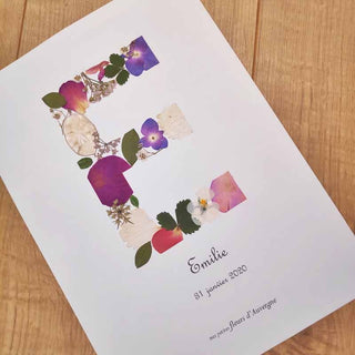 Tableau herbier en fleurs séchées initiale personnalisé E dans les tons roses violet et blanc - cadre fleurs