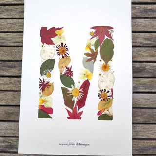 Tableau herbier en fleurs séchées initiale personnalisé M multicolore - cadre fleurs