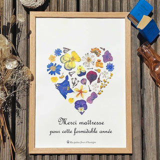 Tirage d'art / affiche personnalisable de l'herbier coeur jaune et violet en fleurs séchées d'Auvergne - 2