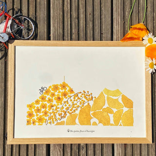 Tirage d'art / affiche / poster de l'herbier Tour de France en fleurs séchées d'Auvergne  - 1