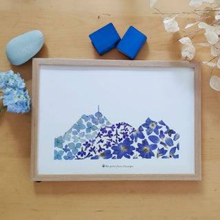 Tableau Herbier végétal A4 du Puy-de-Dôme avec fleurs bleues, représentant la flore locale du massif central.