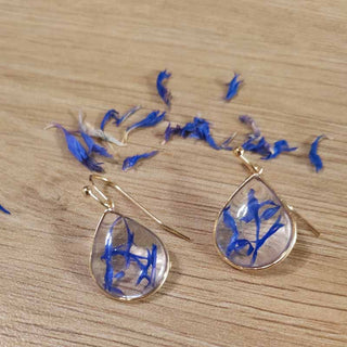 Boucles d'oreille petites gouttes en laiton doré à l'or fin avec inclusion de fleurs de bleuet - bijou fleur