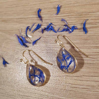 Boucles d'oreille petites gouttes en laiton doré à l'or fin avec inclusion de fleurs de bleuet - bijou fleur