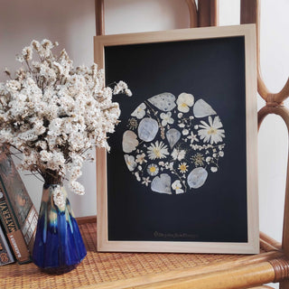 Tableau herbier représentant la pleine lune en fleurs blanches cueillies en Auvergne - 4 - cadre fleurs