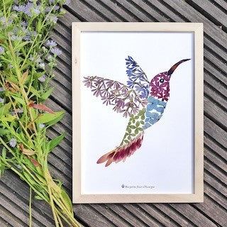 Tirage d'art / affiche / poster de l'herbier oiseau Colibri en fleurs séchées d'Auvergne.  - 1