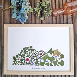 Tableau Herbier A4 Puy-de-Dôme végétal  et fleuri, dans les tons verts et quelques fleurs jaunes, rouge et bleu - 3