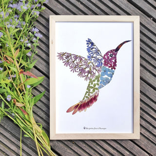 Tableau herbier d'un colibri multicolore en fleurs séchées cueillies en Auvergne - cadre fleurs