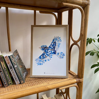 Tirage d'art / affiche / poster de l'herbier Geai bleu en fleurs séchées d'Auvergne  - 1