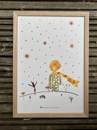 Tirage d'art / affiche / poster de l'herbier Petit Prince en fleurs séchées d'Auvergne. Parfait pour une chambre d'enfant  - 2