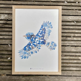 Tirage d'art / affiche / poster de l'herbier Geai bleu en fleurs séchées d'Auvergne  - 2