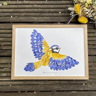 Tableau Herbier représentant une mésange bleue en plein vol, en fleurs d'Auvergne - cadre fleurs