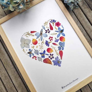 Tableau herbier coeur rouge et bleu en fleurs séchées d'Auvergne - cadre fleurs
