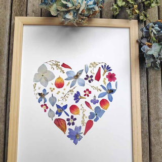 Tableau herbier coeur rouge et bleu en fleurs séchées d'Auvergne 2 - cadre fleurs