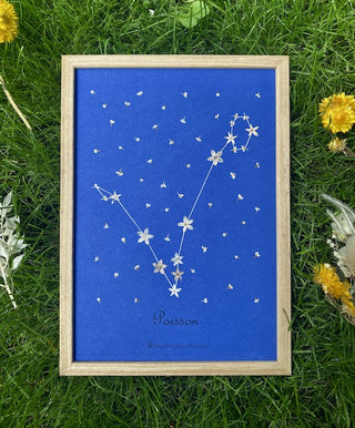 Tableau Herbier avec la constellation du zodiaque Poisson en petites fleurs blanches sur fond bleu - cadre fleurs