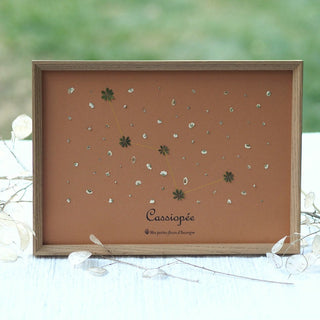 Tableau Herbier avec la constellation  Cassiopée en petites fleurs blanches (gypsophiles) et végétaux sur fond marron clair