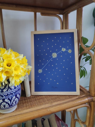 Tableau Herbier avec la constellation du zodiaque avec prénom Nicolas en petites fleurs blanches sur fond bleu - cadre fleurs