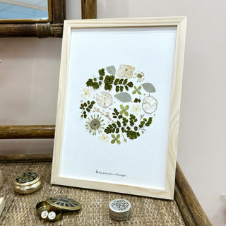 Tableau herbier Campagne anglaise : rond de fleurs séchées et végétaux sur fond blanc. - cadre fleurs